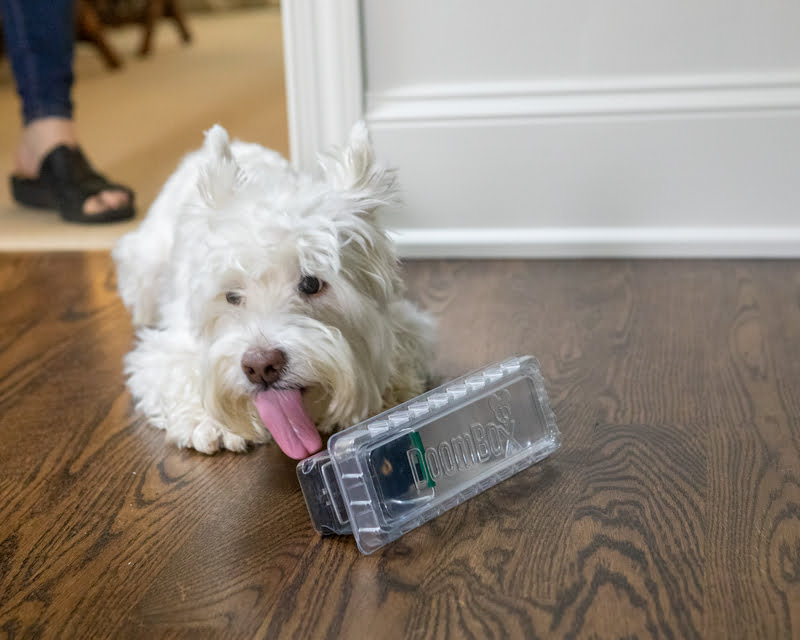Lets you see in, keeps kids and pets out