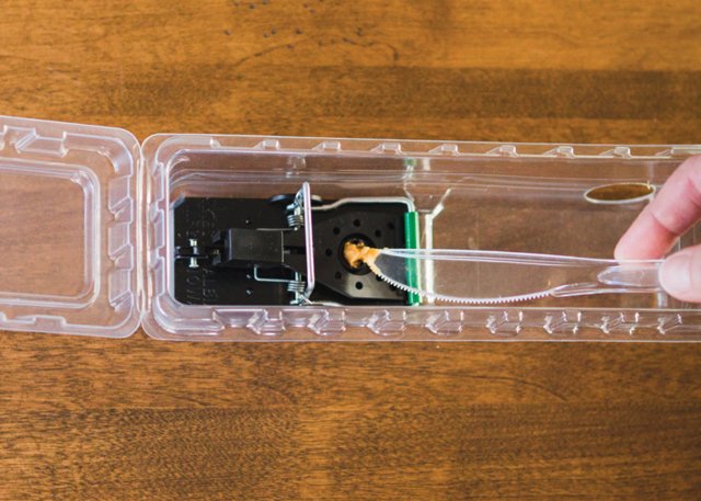 Doombox Traps – The Enclosed Mouse Trap